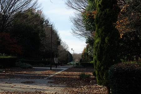 20101211_134916_0