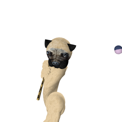 Snapshot_298
