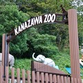 金沢自然公園　動物と秋桜