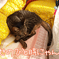 100131-1【猫アニメ】幸せのひと時にゃん♪