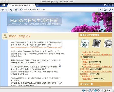 Chrome OS(2)